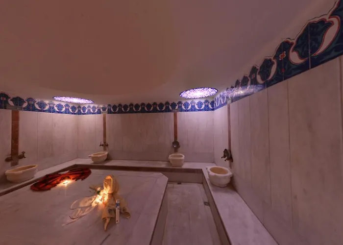 Anitas Hotel Konaklı